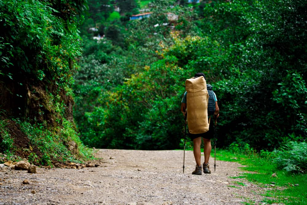 A backpacker hiking a green trail