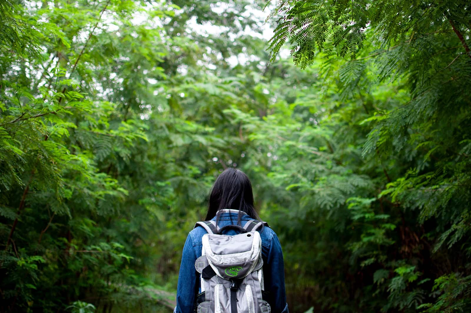 A hiker walking a green forest trail