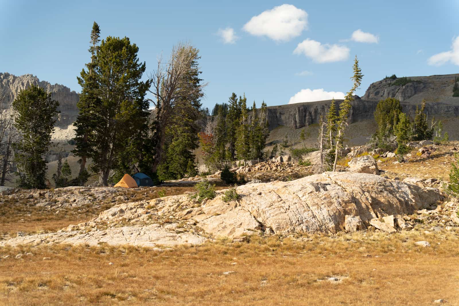 Tents pitched at a wilderness campsite below mountains